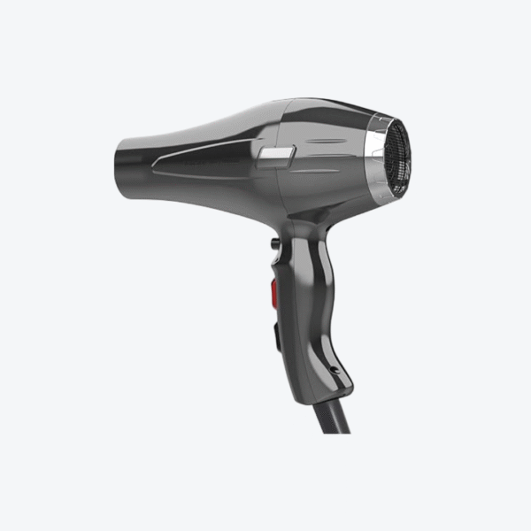 Lizze Extreme Professional Hair Dryer - 2600W